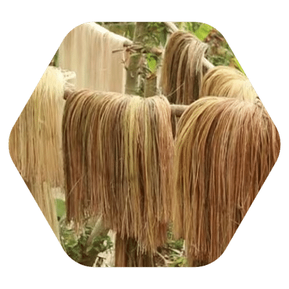 Natural Abaca Fiber